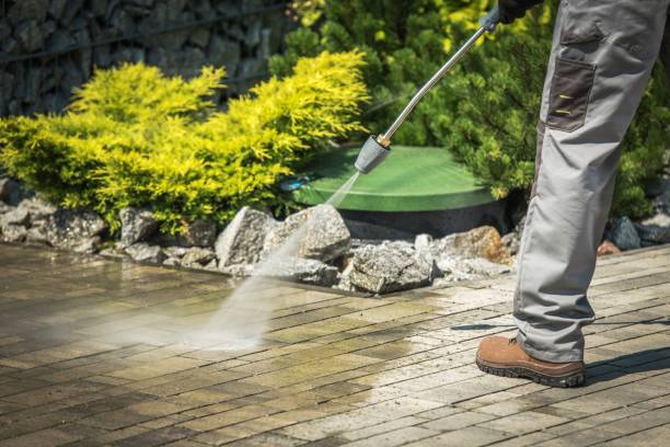 Best Winterizing Services  in Sharpes, FL