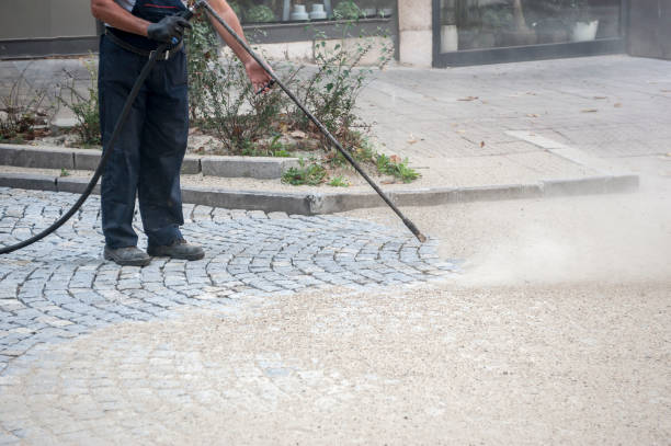 Best Roof Washing  in Sharpes, FL